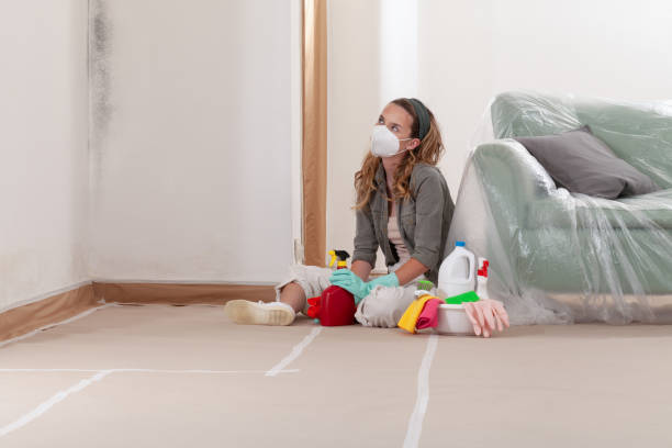 Reliable Mold Remediation contractor in Trenton, MI by Cheap Mold Removal